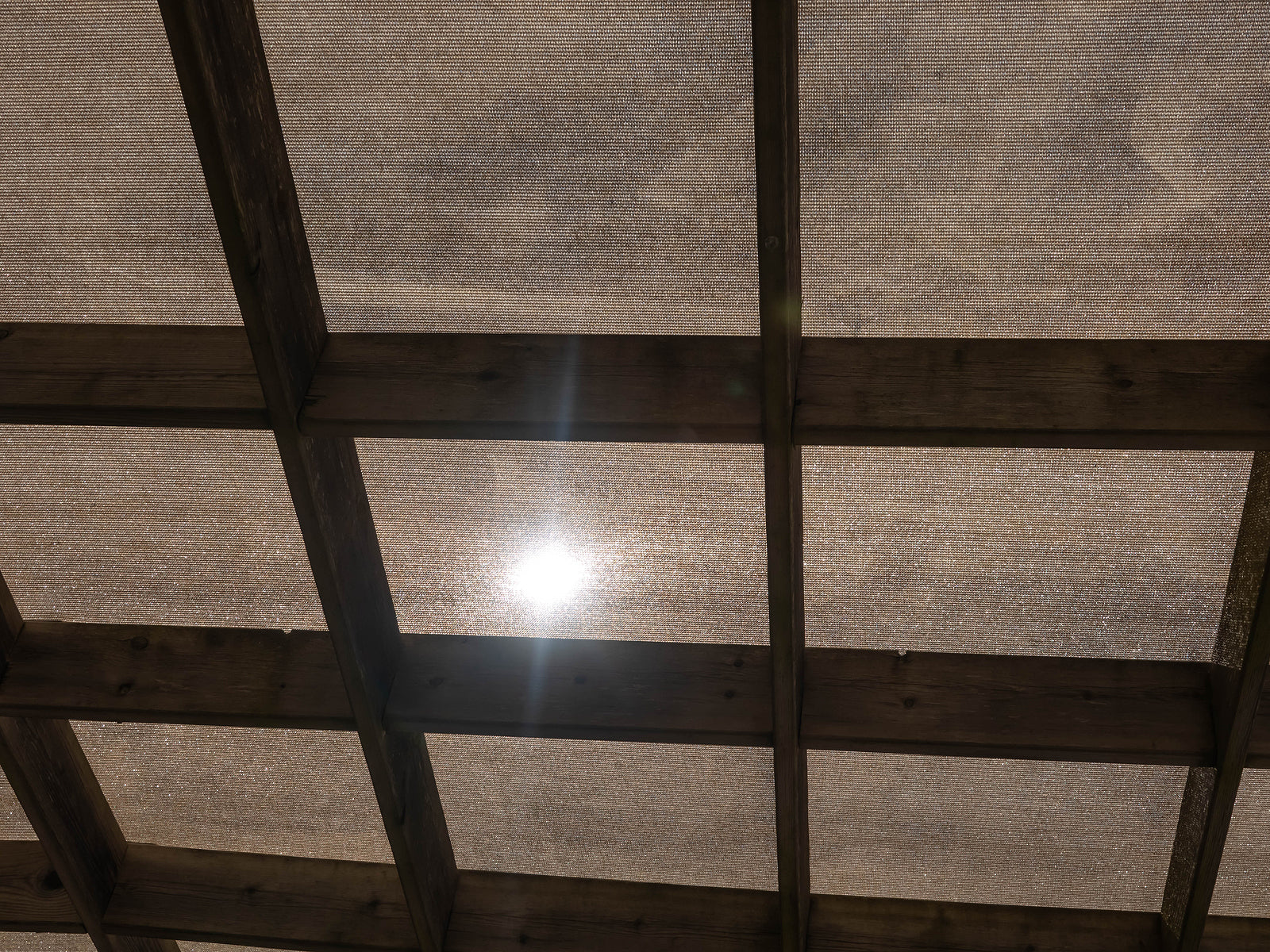 From Scorched Earth to Garden Oasis: Protecting Your Plants This Summer